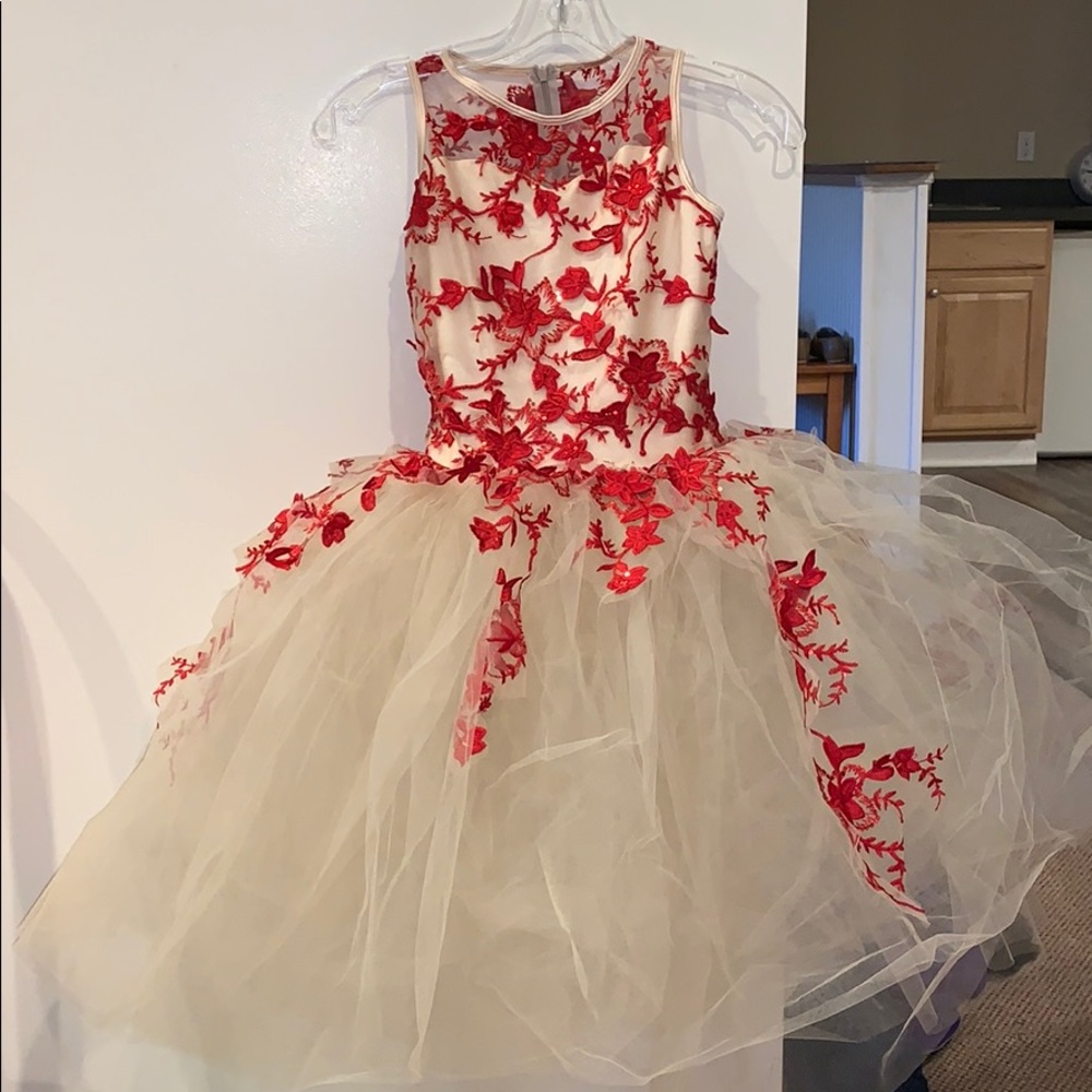 Beautiful Red Ballet Coustume